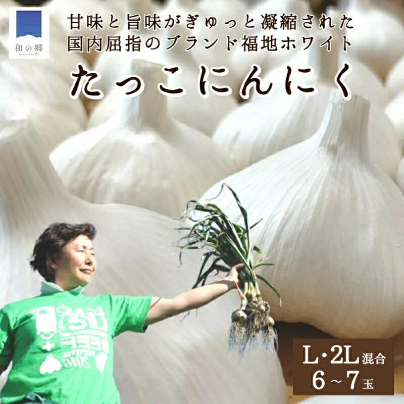 【ふるさと納税】日本一ブランドたっこにんにく6～7玉（青森県田子町産にんにくL～2Lサイズ混合）　薬味 お届け：10月1日〜3月31日まで