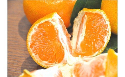 240.【大粒･2L】有田みかん「未来への虹」（約9kg）(A240-2)