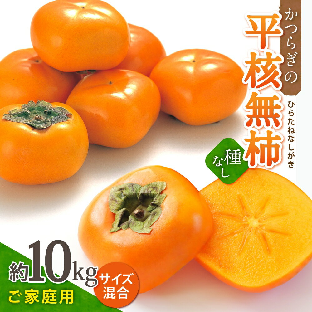 【ふるさと納税】【ご家庭用】和歌山県産 平核無柿約10kg【2025年10月上旬から11月上旬頃順次発送】【MG3w】 | 柿 たねなし柿 平核無柿 果物 フルーツ 和歌山ご家庭用 和歌山 特産品 先行予約 お取り寄せ