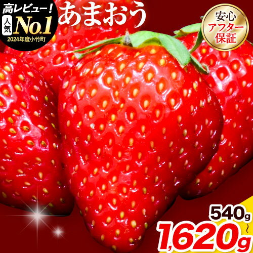 あまおう いちご 540g から1620g 選べる