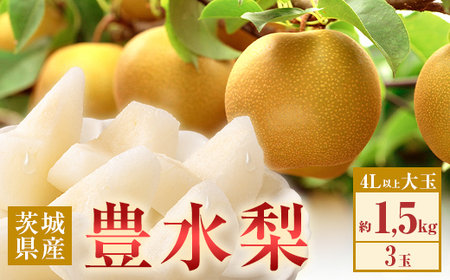 351 豊水梨 約1.5kg 3玉 4L以上 大玉 梨 なし 【先行予約 2025年 8月下旬ころより順次発送予定】