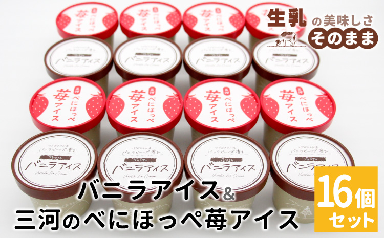【スピード発送】バニラアイス＆紅ほっぺいちごアイス 16個入り 80ml 10000円 アイスクリーム アイス バニラ 苺 紅ほっぺ いちご