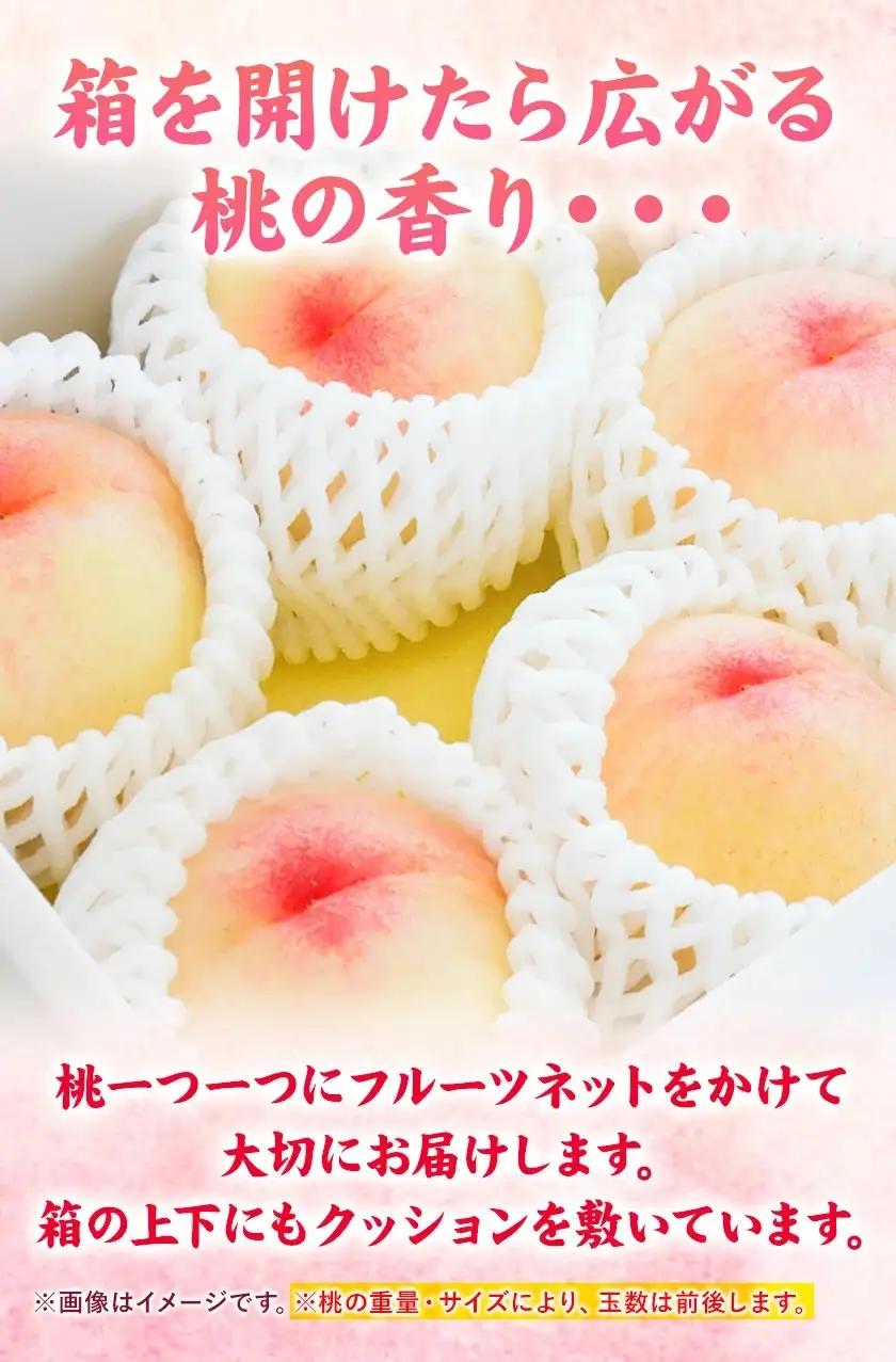【全3回】晴れの国定期便 無洗米5kg 桃1kg マスカット600g 定期便
