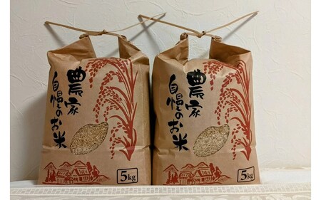 令和７年産 白川の美米 １０kg 令和7年産 南小国産 玄米 白米 3分づき 5分づき 7分づき 森のくまさん 精米 米 5kg 2袋 お米 ご飯 ごはん 無農薬 農薬不使用 自然栽培 産地直送 白川