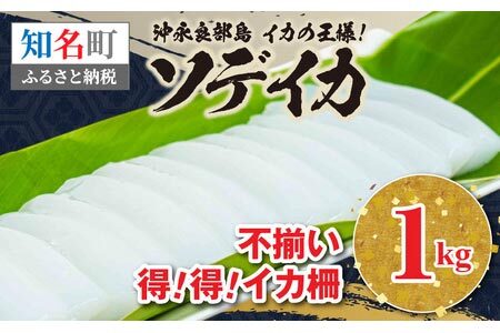 沖永良部島 イカ の 王様 ！ ソデイカ 1kg C010-023 魚介 海鮮 寿司 真空パック 鍋 沖永良部島漁業協同組合 ふるさと納税 知名町 おすすめ ランキング プレゼント ギフト