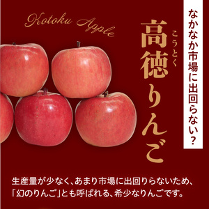 【先行予約】 令和8年産 高徳 りんご 秀以上 約1.8kg