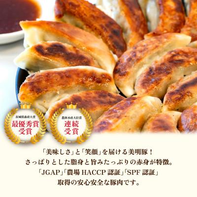 ふるさと納税 茨城町 冷凍餃子　20個x3袋　(計60個) |  | 01