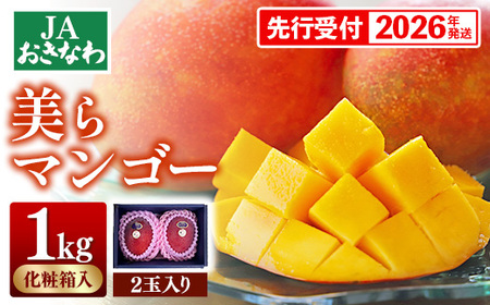 【化粧箱入】【先行受付・2026年発送】美らマンゴー約1kg【大玉2玉】- 先行予約 JAおきなわ 産地直送 南国フルーツ 贈り物 ギフト オススメ 沖縄県 八重瀬町