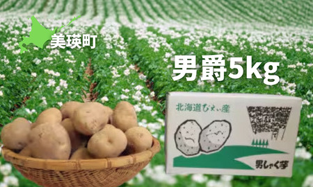 ≪令和７年産予約受付！≫おおとり 男爵5kg | じゃがいも じゃがいも じゃがいもじゃがいも じゃがいも じゃがいも［0075-03］