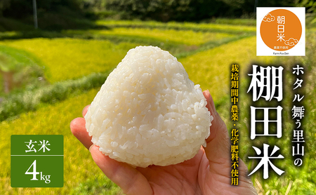 玄米 先行受付 ホタル舞う 里山の棚田米 4kg 朝日 2kg×2袋 米 玄米