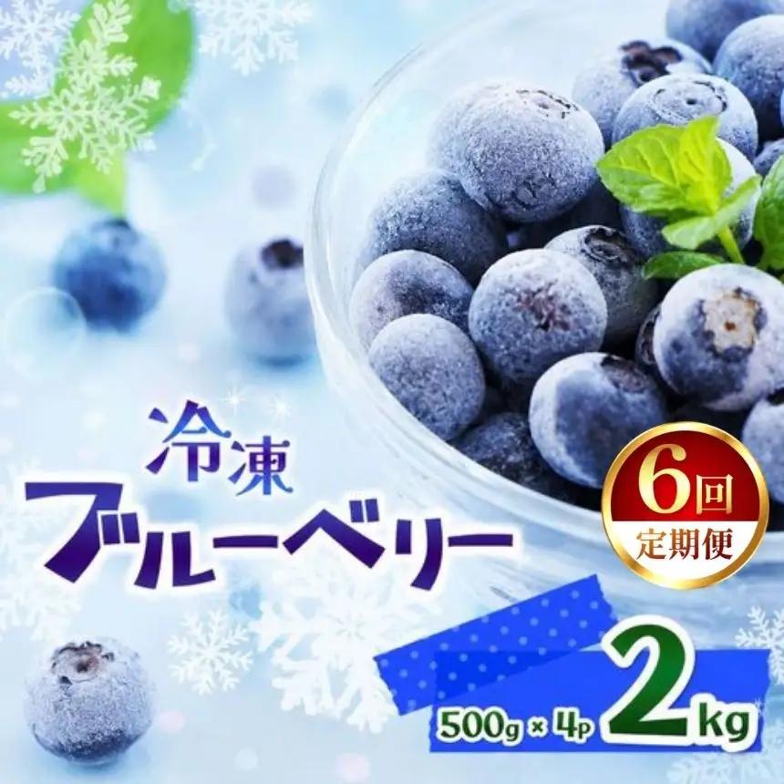 【定期6回】完熟冷凍ブルーベリー 約 2kg