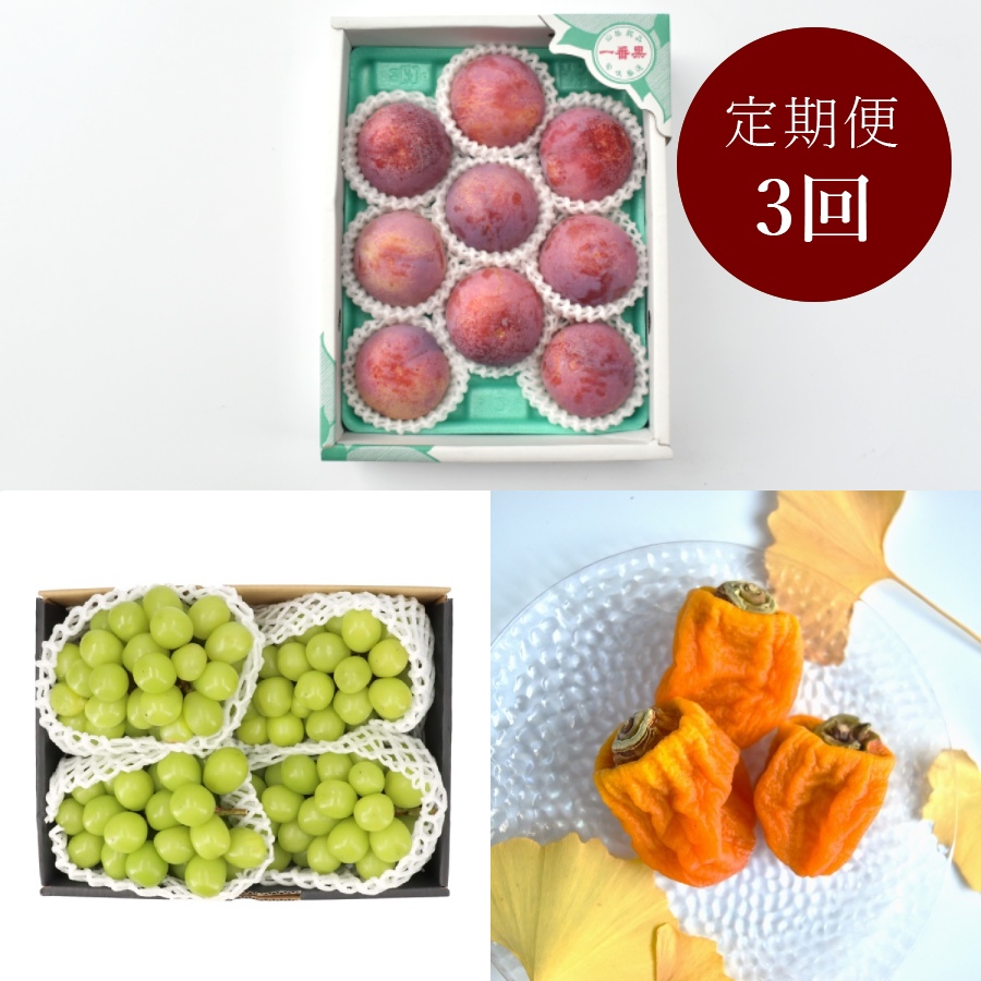 ＜南脈風花＞南アルプスの名産果樹 3回定期便