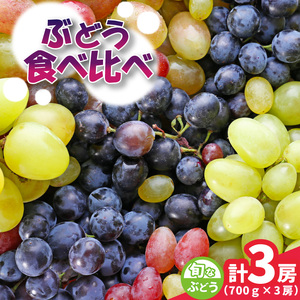 旬なぶどう おまかせ 食べ比べ 700g × 3房 ＜2026年8月より順次発送＞ (県内共通返礼品:かすみがうら市産) シャインマスカット 巨峰 ピオーネ ゴルビー クインニーナ 我が道  ぶどう ブドウ 葡萄 フルーツ 茨城 新鮮 (BR184)