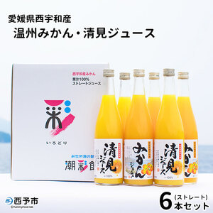 愛媛県西宇和産温州みかん・清見ジュース6本セット