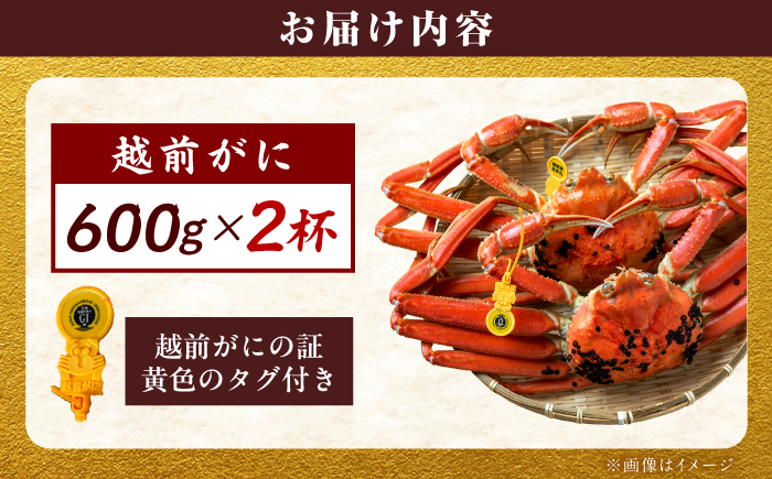【先行予約/11月18日より順次配送】越前がに 600g×2杯 茹で 福井県産ズワイガニ / かに カニ 蟹 越前ガニ ズワイガニ ボイル / 小浜市 / 一進わかさ【配送不可地域：北海道・沖縄・離島