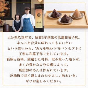 あんこ菓子いわした あんこペースト 1kg 2袋（計2kg） しろ 餡子 白餡 あんこ ペースト