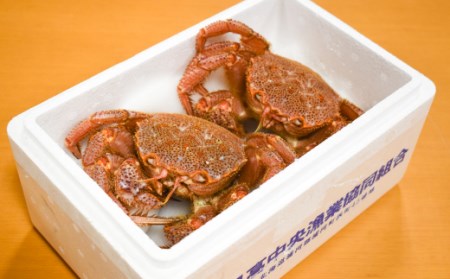 【先行受付開始！】漁協の活毛がに 小サイズ２尾セット※日付指定対応不可※[02-1205]