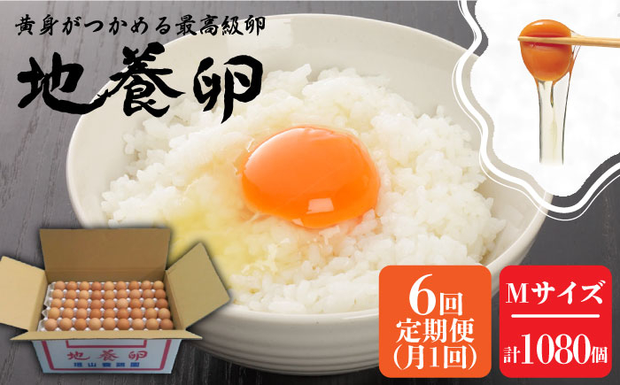 
【6回定期便】最高級 卵 地養卵 Mサイズ 180個×6回定期便 長崎県産 西海市 たまご 卵 玉子 タマゴ 鶏卵 オムレツ 卵かけご飯 朝食 料理 人気 卵焼き＜垣山養鶏園＞ [CBB011]
