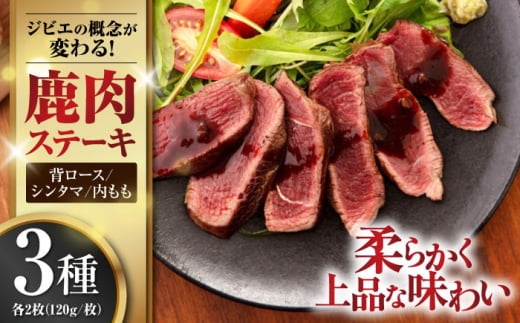 【お歳暮対象】鹿肉 ステーキ3種セット（背ロース120g×2枚・シンタマ120g×2枚・内もも120g×2枚）《喜茂別町》【EBIJIN】 ジビエ 鹿 モモ セット 詰め合わせ ステーキ 赤身 冷凍配送 北海道 [AJAO005] 44000 44000円