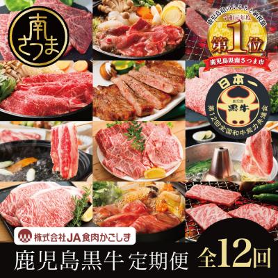ふるさと納税 南さつま市 【JA食肉かごしま】鹿児島黒牛定期便(全12回) ステーキ すき焼き しゃぶしゃぶ 定期便