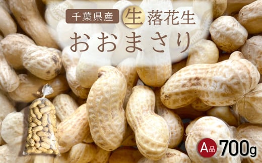 【先行受付・9月上旬より順次発送！】 おおまさり 生落花生 700g／ふるさと納税 落花生 生 生落花生 おおまさり 生おおまさり A品 大粒 希少 旬 季節限定 ふっくら 柔らか ほくほく 甘い 塩ゆで 千葉県 山武市 SMAH008