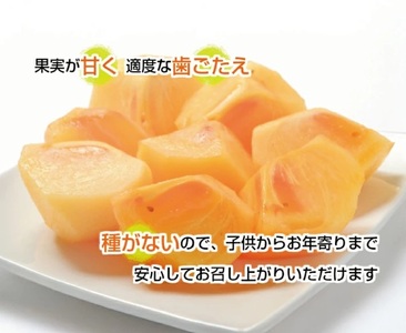 SA2689　庄内柿　約5kg(27～31個入)