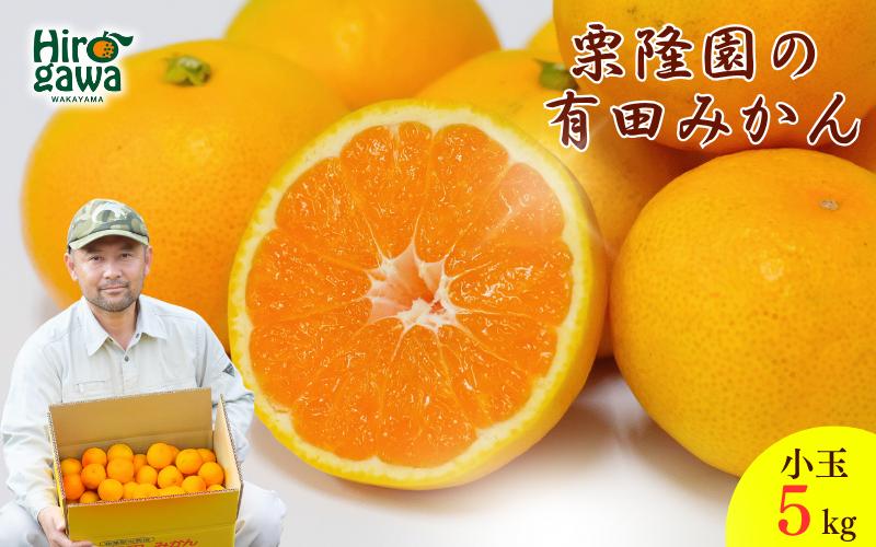 
                   【即納】 有田 みかん 小玉 サイズ混合 5kg / 有田みかん 温州みかん 甘い 小玉 和歌山 柑橘 5kg ※2025年11月～2026年3月上旬に順次発送【krt004-s-5】
                