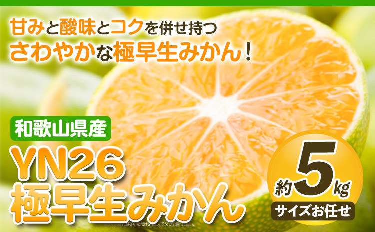 
                  YN26極早生みかん 約5kg (2S～Mサイズおまかせ) 厳選館 《9月中旬-11月中旬頃出荷》 和歌山県 日高町 みかん 柑橘 ミカン 蜜柑 フルーツ 和歌山県産 YN26 極早生
                