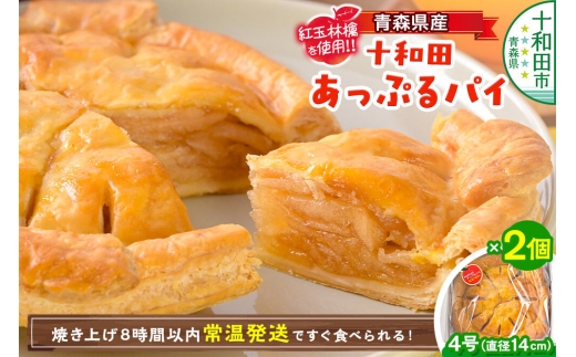 青森県産紅玉林檎のアップルパイ「十和田あっぷるパイ」2個 青森 十和田市 焼菓子工房MaNa [常温発送 冷凍保存可]