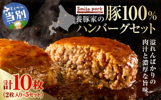 養豚家の豚100％ハンバーグセット 120g2枚入りパック×5セット計10枚 | 豚肉ハンバーグ 豚ハンバーグ 豚100％ハンバーグ 小分け ハンバーグ