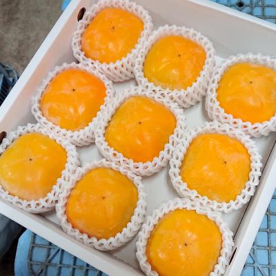 ふるさと納税 橋本市 国城観光農園のたねなし柿9個入り(2Lサイズ) |  | 01