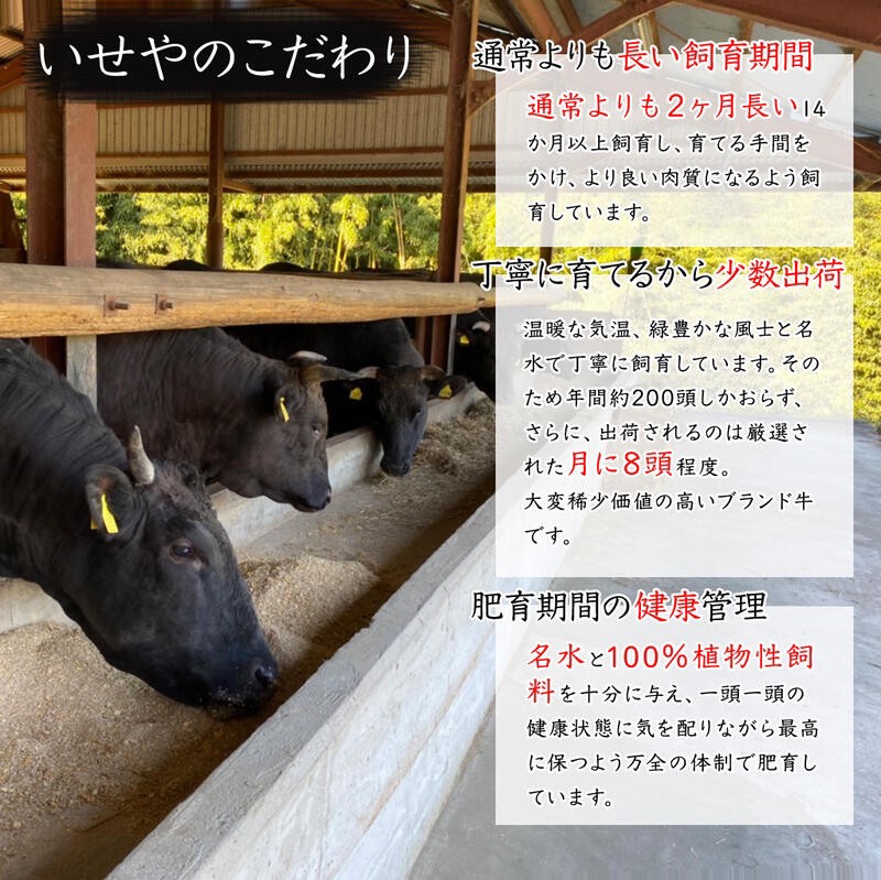 663.黒毛和牛100％希少なブランド熊野牛ハンバーグ（150ｇ×6個）(A663-1)