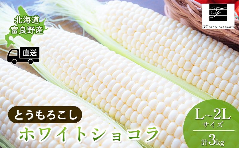 【2025年8月～発送】北海道 富良野市 とうもろこし ホワイトショコラ 白色 L～2L サイズ 計3kg ふらの 野菜 トウモロコシ とうきび 数量限定 (フラノプレゼンツ)