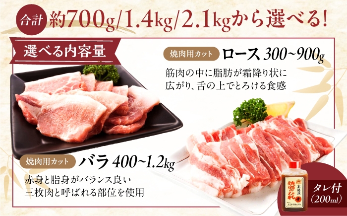 肉 豚肉 ロース バラ 焼肉 BBQ セット 食べ比べ 贈答 ギフト プレゼント
