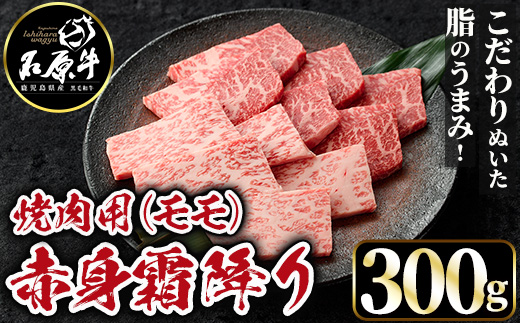 石原牛 赤身霜降りモモ 焼肉用(300g)  黒毛和牛 国産 九州産 鹿児島県産 牛肉 ブランド牛 焼肉 BBQ ヘルシー 和牛 赤身 モモ肉 健康志向 冷凍 贅沢 贅沢な一品 贈答用 ギフト用 【株式会社石原PRO】a-24-45-z