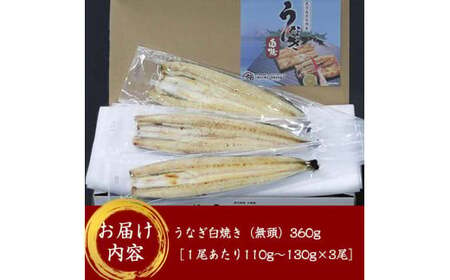 鹿児島県大隅産うなぎ白焼き3尾　計360g【国産】 1468