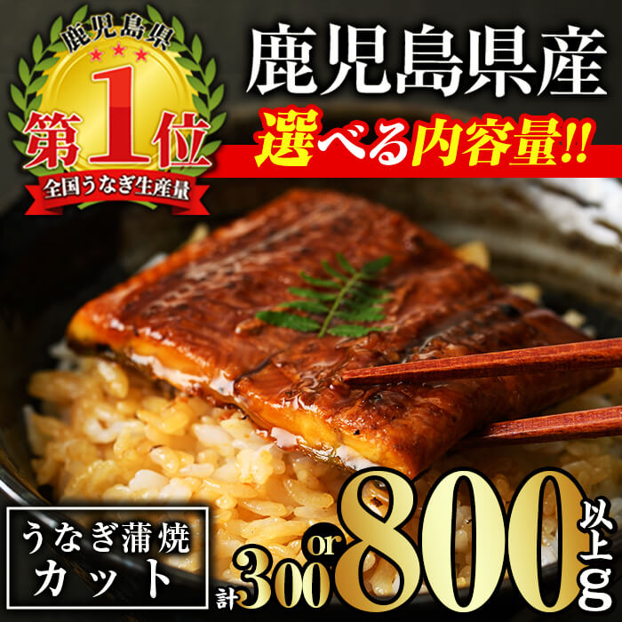 【ふるさと納税】＜内容量が選べる！＞無投薬！鹿児島県産うなぎ蒲焼カット(計300g以上～計800g以上・約50g×6枚～15枚) タレ・山椒付き カット鰻 鰻 カット ウナギ うな重 ひつまぶし かばやき 九州産 国産 冷凍 【西日本養鰻】