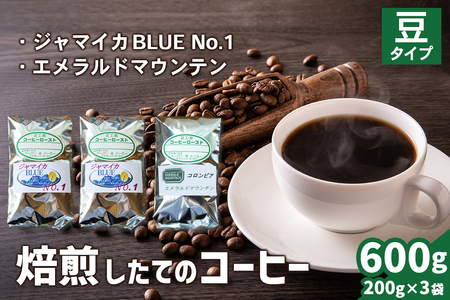 焙煎したてのコーヒー豆 3袋 (ジャマイカBLUEマウンテンNo.1・エメラルドマウンテン)【豆】[0352]