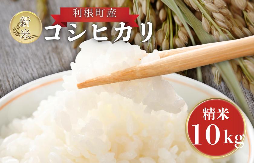 利根町産　コシヒカリ　精米　10kg ／ 米 こめ コメ お米 おこめ コシヒカリ こしひかり 令和7年産 精米 白米 ごはん ご飯 10kg 茨城県 利根町 産地直送 送料無料