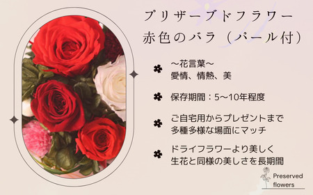 プリザーブドフラワー アレンジメント 赤色のバラ(パール付)＜老舗の花屋さんの手づくり/ギフト用＞_老舗の花屋さん 手づくり ギフト用 贈呈 記念日 結婚 誕生日 お祝い プリザーブ ド フラワーアレ