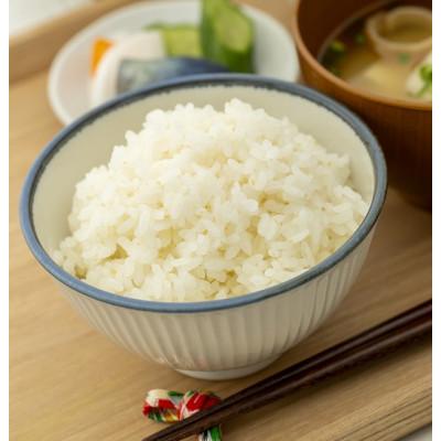 ふるさと納税 酒田市 【毎月定期便】山形県庄内産 つや姫　精米5kg全6回 |  | 02