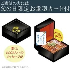 特大サイズ国産うなぎ蒲焼き170g4本セット(B1000-1)