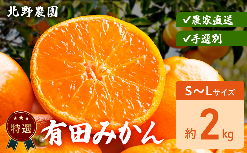DZ6234_【2026年先行予約】特選 有田みかん 和歌山 S～Lサイズ 大きさお任せ 約2kg