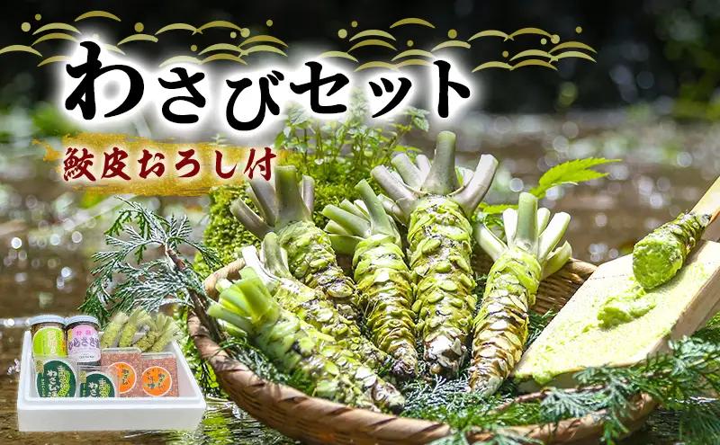 わさび セット 鮫皮おろし付 生わさび 4本 わさび漬け 2個 わさび味噌 2個 天城の春 三杯酢漬け1瓶 むらさき漬け 1瓶 詰め合わせ 伊豆 伊豆わさび食品直送 ワサビ 山葵 鮫皮おろし 加工品 薬味 調味料 冷蔵 冷蔵配送 静岡 静岡県 河津 河津町