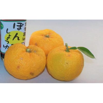 ふるさと納税 三原市 【鍋,お刺身などに】ぽん酢、うまみ醤油2本セット[007-005] |  | 02