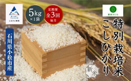 定期便 こしひかり 精米 5kg 3ヵ月 令和7年産 こしひかり コシヒカリ 農家ふじた