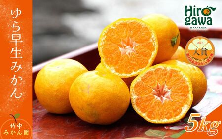 ゆら早生みかん 5kg（2S～Lサイズ） ※2026年11月上旬～12月上旬に順次発送予定 【tkn004-r-5B】