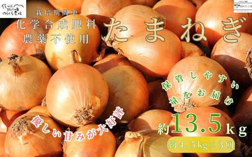 
            栄養価コンテスト受賞歴多数！のらくら農場のこだわり玉ねぎ 定期便3カ月　約13.5kg（4.5kg×３カ月）［NK-T510]
          