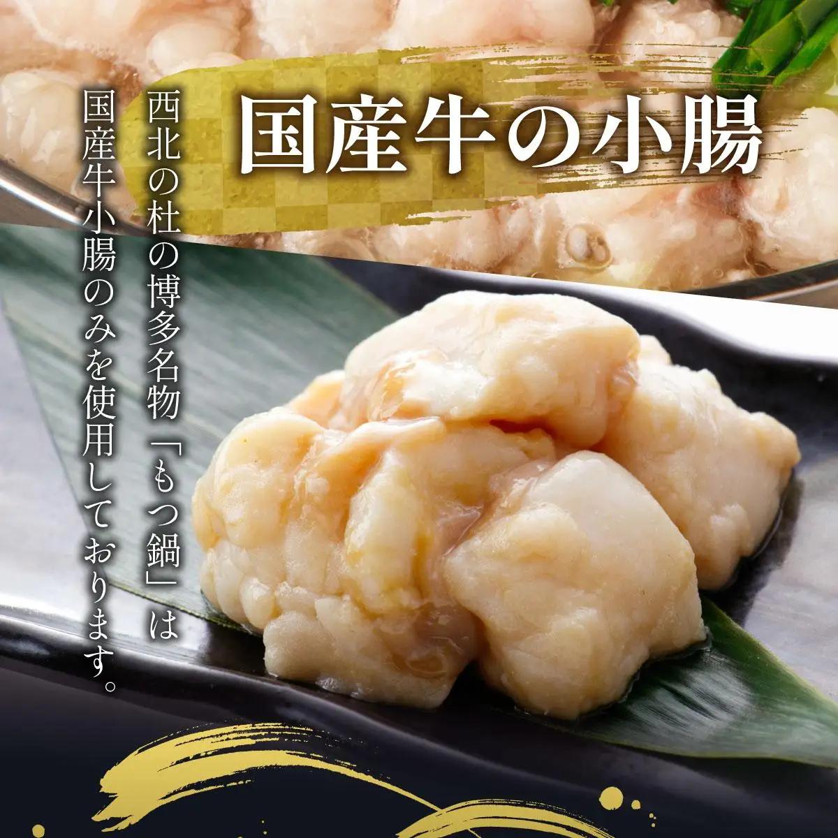 【プリプリの国産牛小腸のみ使用】博多特選もつ鍋(醤油味・4～5人前)【福岡ブランド 】