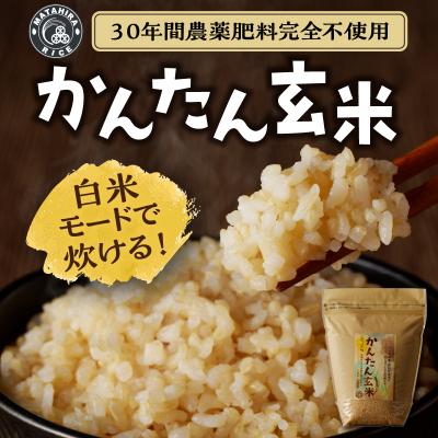 ふるさと納税 焼津市 かんたん玄米2kg玄米、白米みたいに炊けちゃいます!安心・安全のお米(a21-064) |  | 01